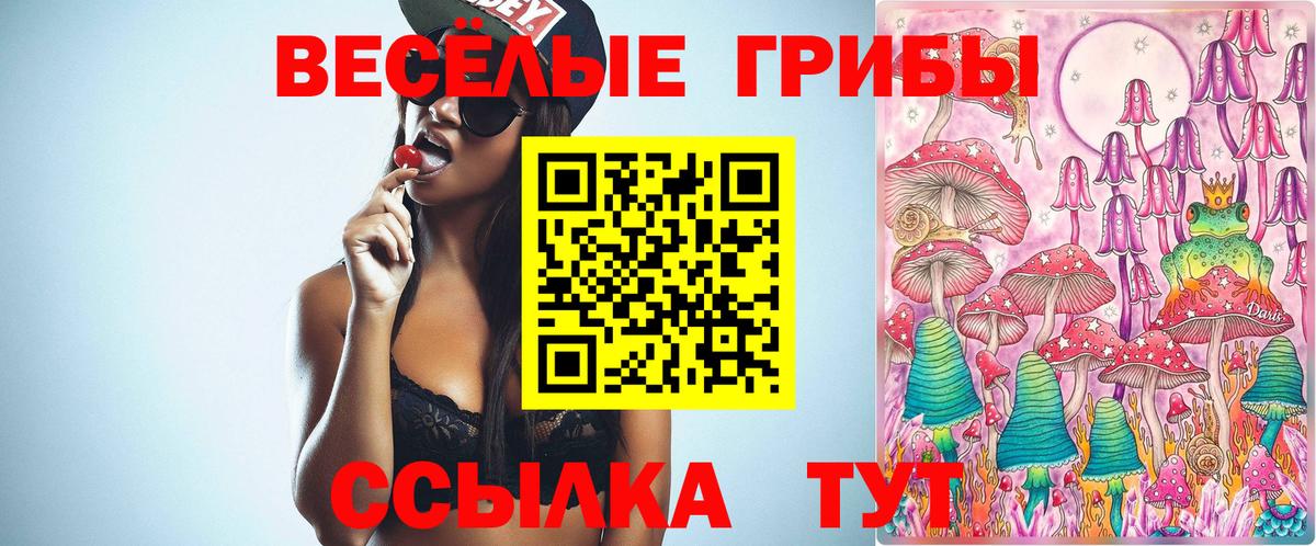 Галлюциногенные грибы Magic Shrooms Заречный
